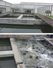 生活污水 小排量的日常，大環境的隱憂