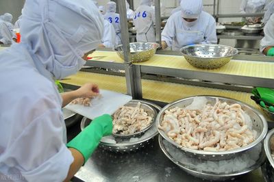 海產品加工企業如何選擇污水處理站？三大關鍵影響因素解析